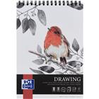 Tekenblok Drawing Art integraal A4 50 p. 160 g - Oxford